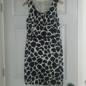 Anne Taylor Loft Dress